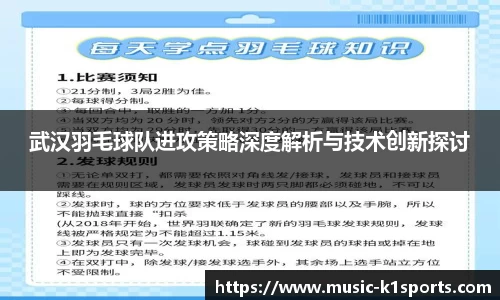 武汉羽毛球队进攻策略深度解析与技术创新探讨