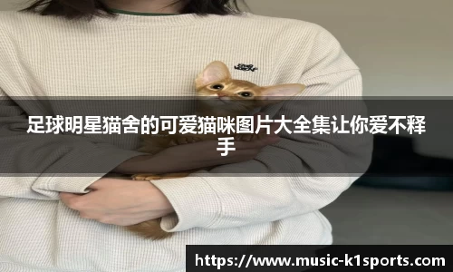 足球明星猫舍的可爱猫咪图片大全集让你爱不释手